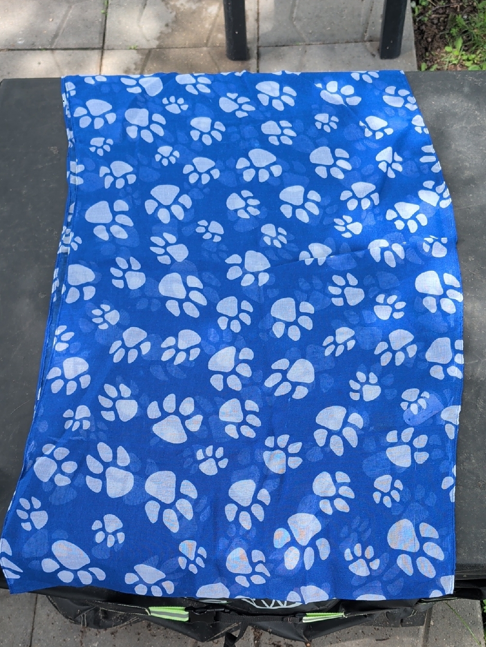 IC COLLECTION Blue and White Paw Print Scarf
